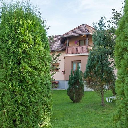 Apartment Ivan & Iva Gornji Vaganac Екстериор снимка