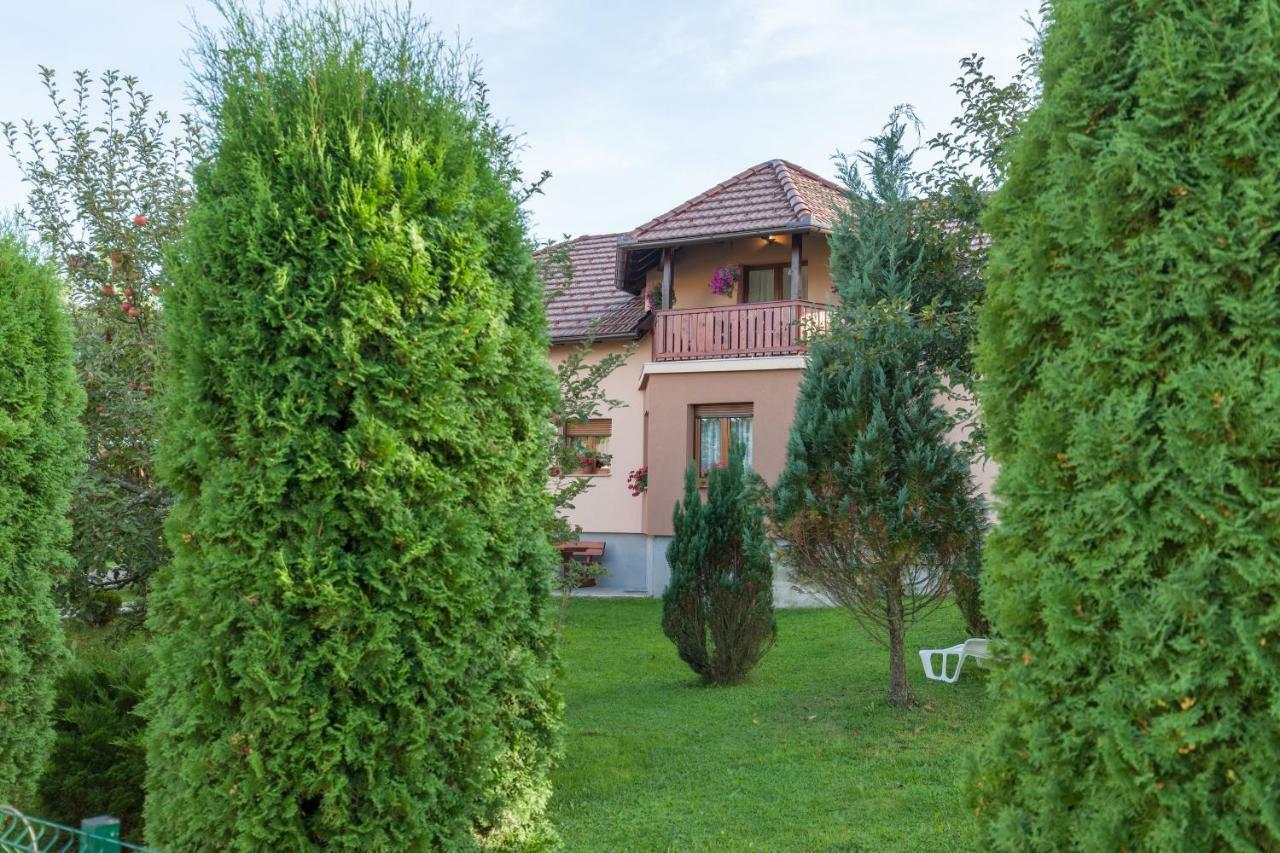 Apartment Ivan & Iva Gornji Vaganac Екстериор снимка